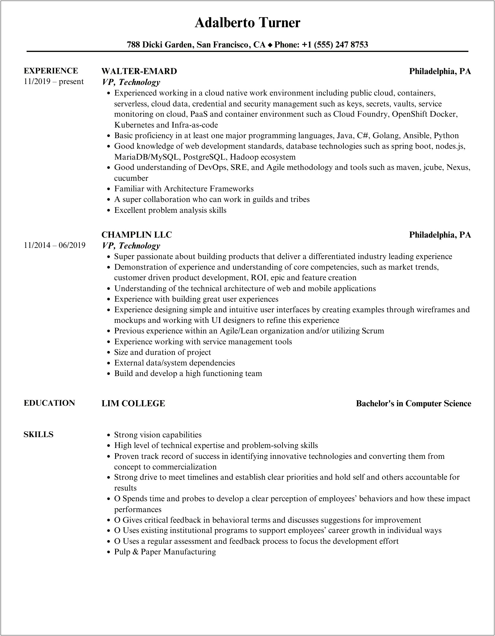 Vp Of Portfolio Technology Resume Sample