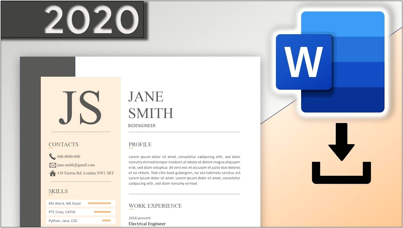 Word 2007 Resume Templates Download Free