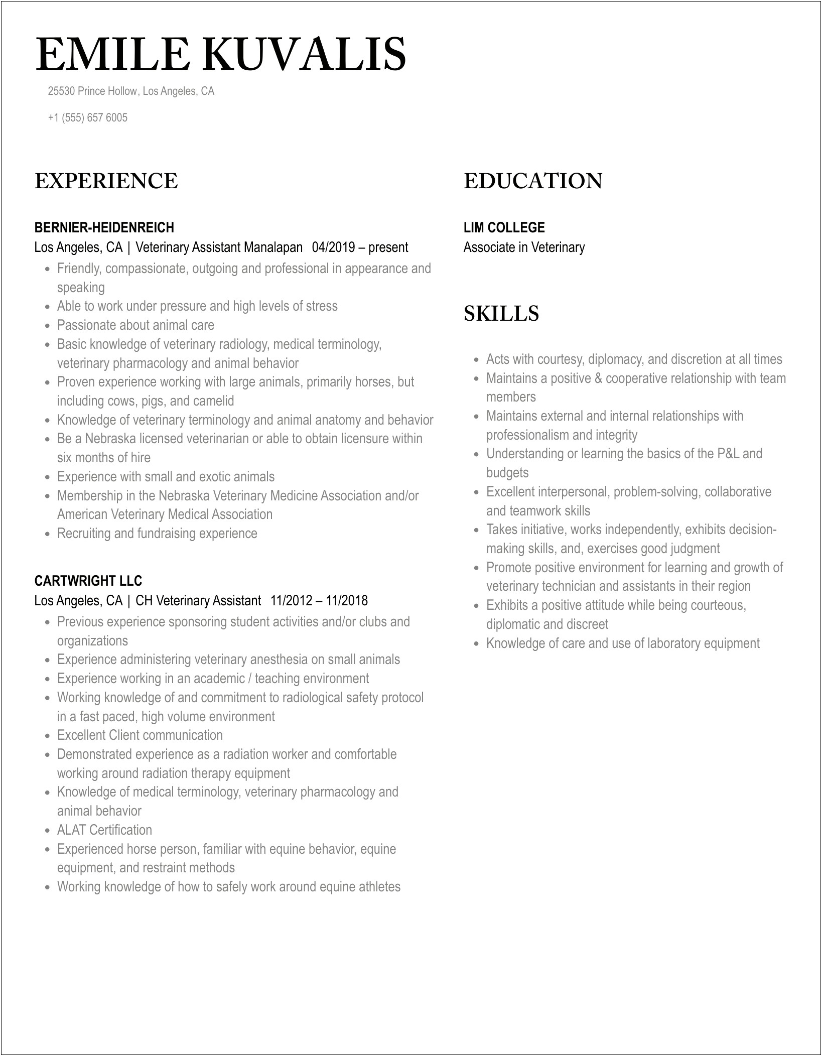 Word Doc Templaye Resume Vet Assistant