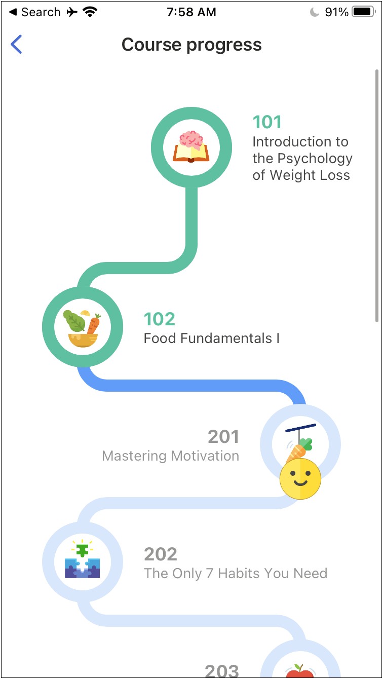 028 Noom Plan Templates Meal Template