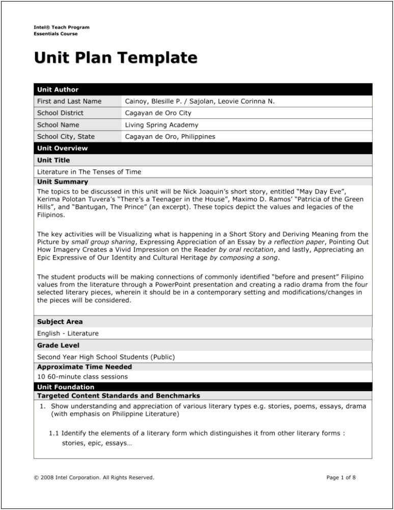 10 Year Plan Template For High School Students