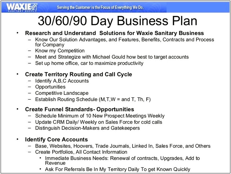 100 Day Sales Action Plan Template