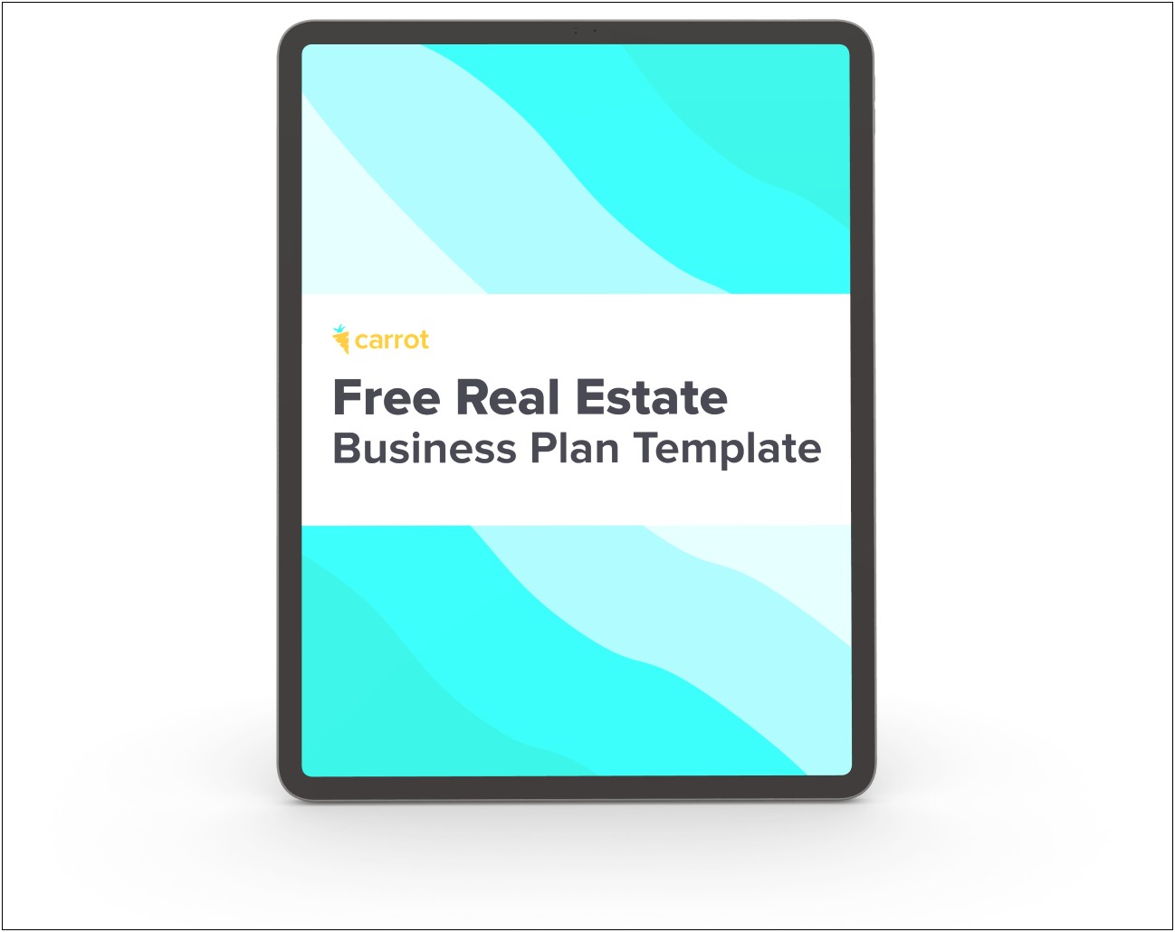 2019 Commercial Real Estate Business Plan Template