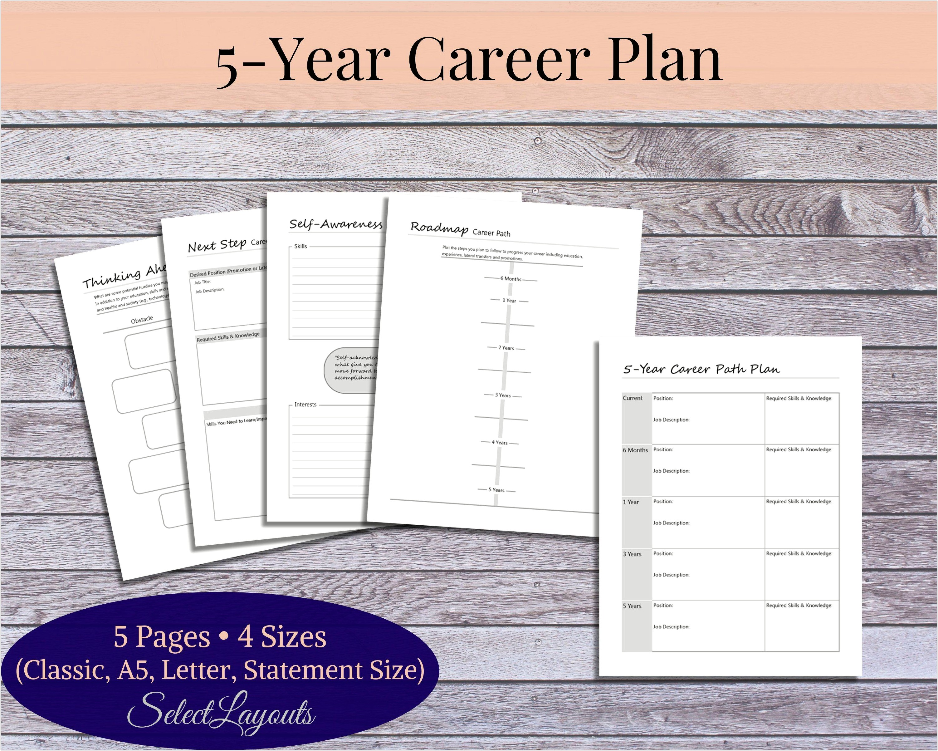 3 Year Individual Development Plan Template