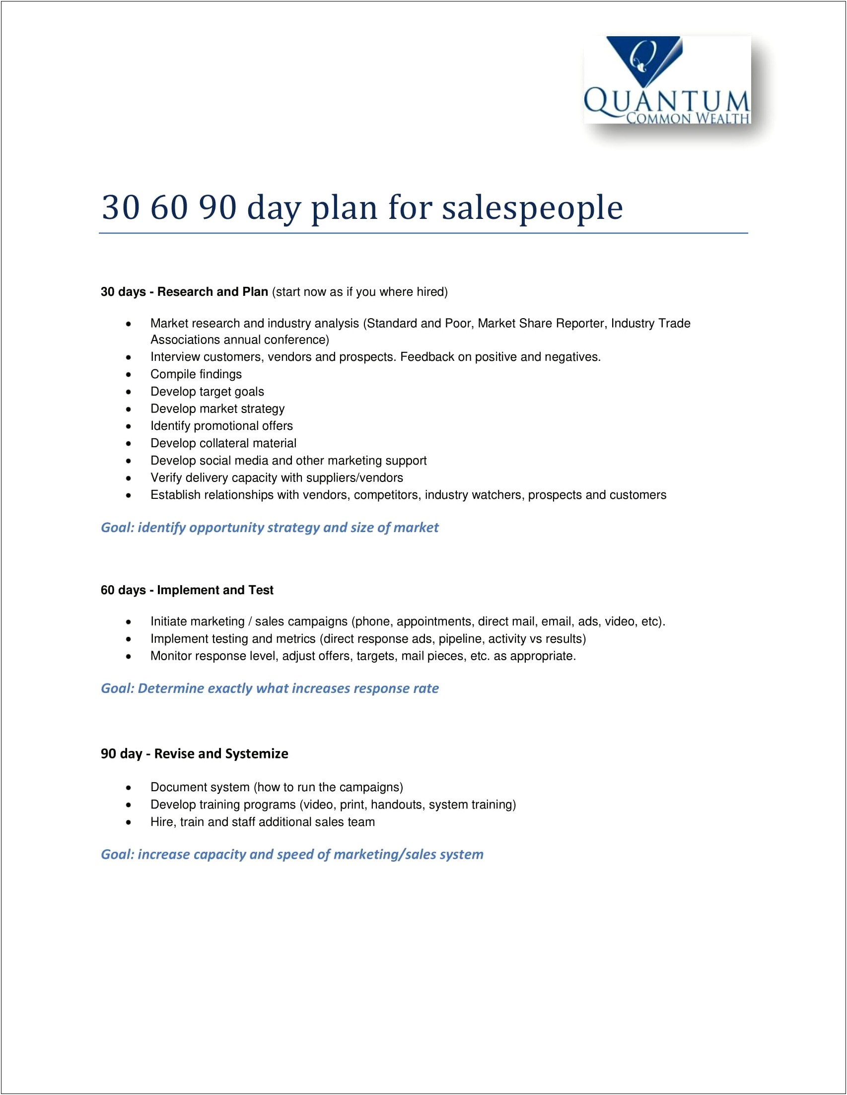 30 60 90 Plan Sales Template