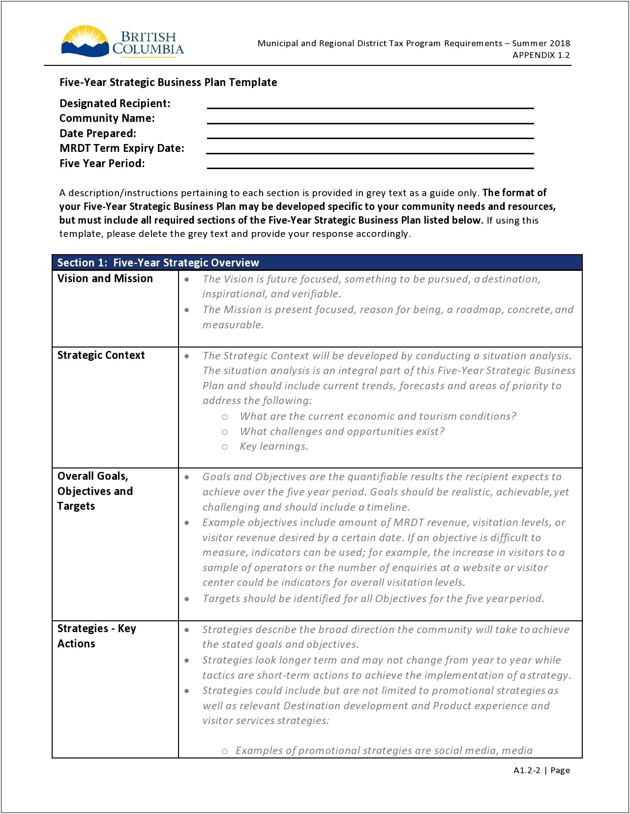 5 Year Career Plan Template Pdf