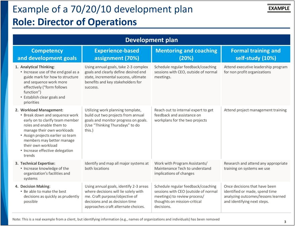 5 Year Development Plan Template Nonprofit