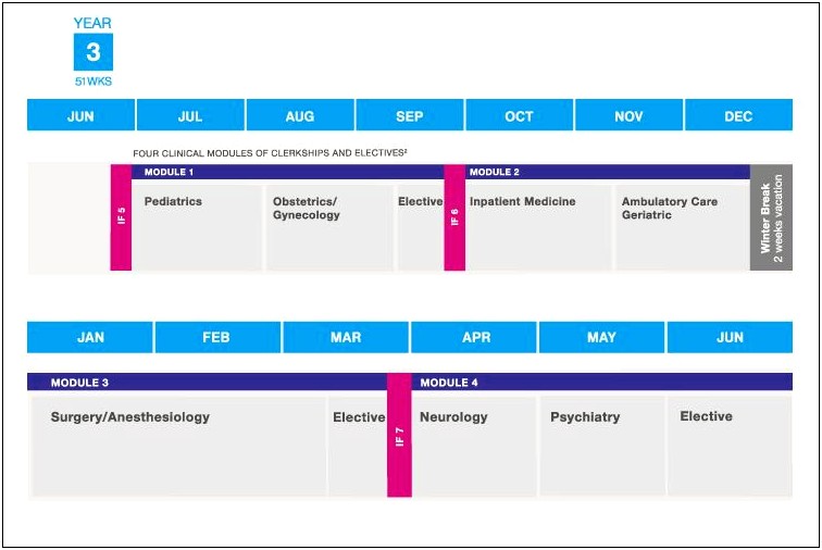 5 Year Plan Template Medcal Residency