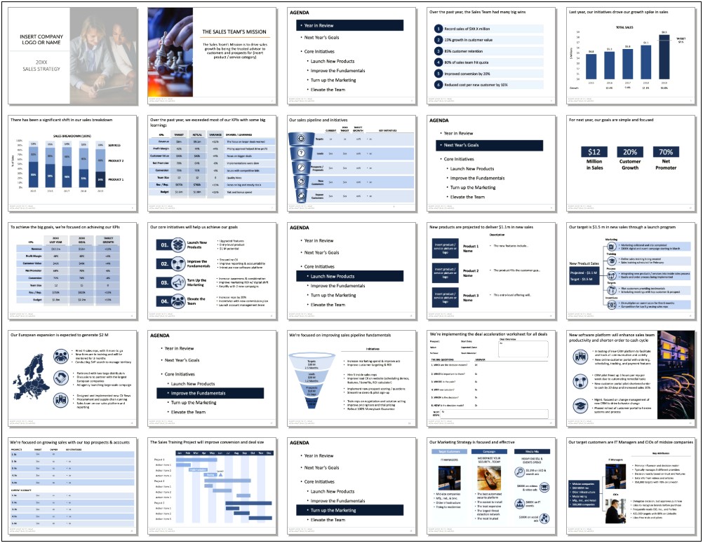 5 Year Sales Business Plan Template