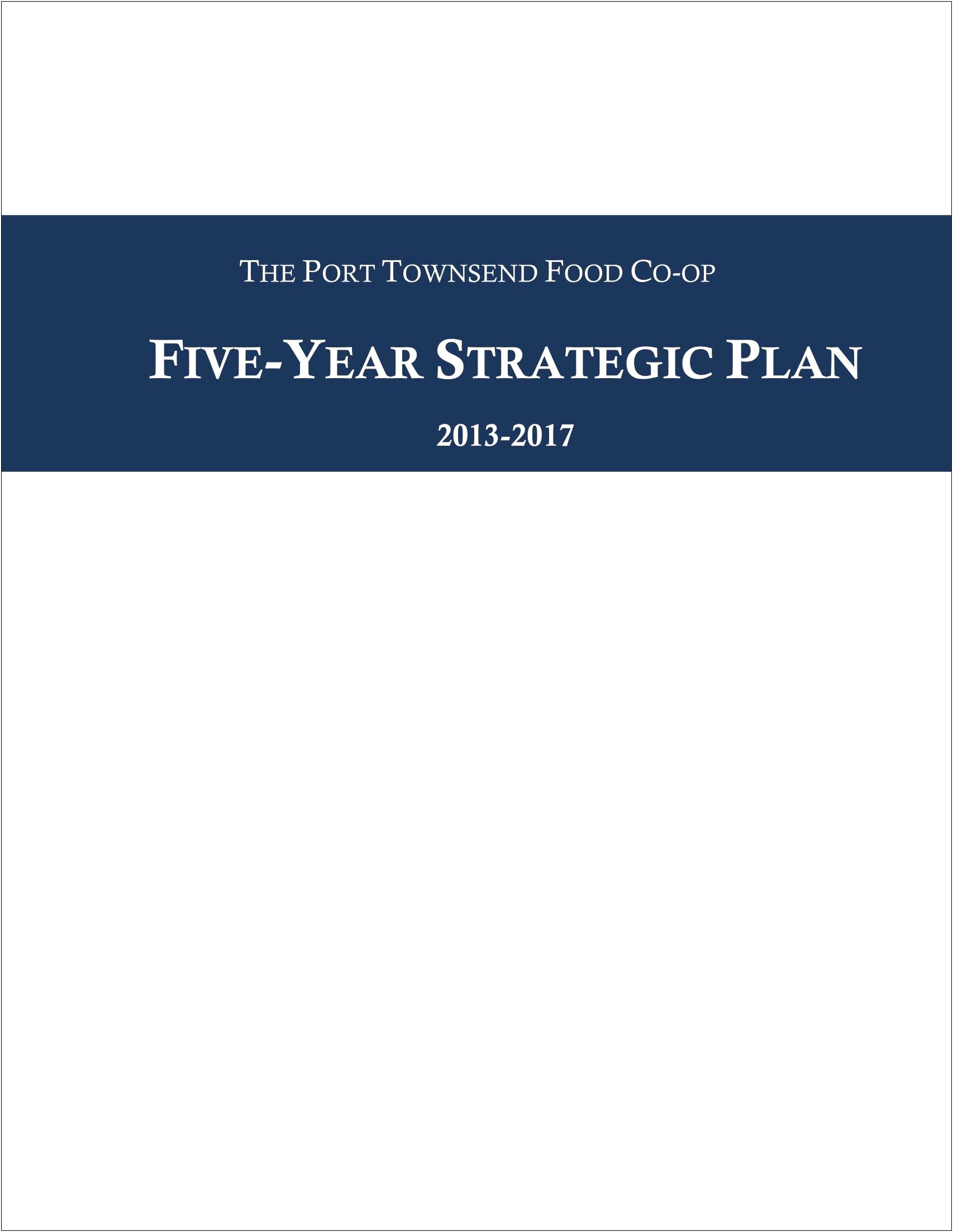 5 Year Strategic Business Plan Template Pdf