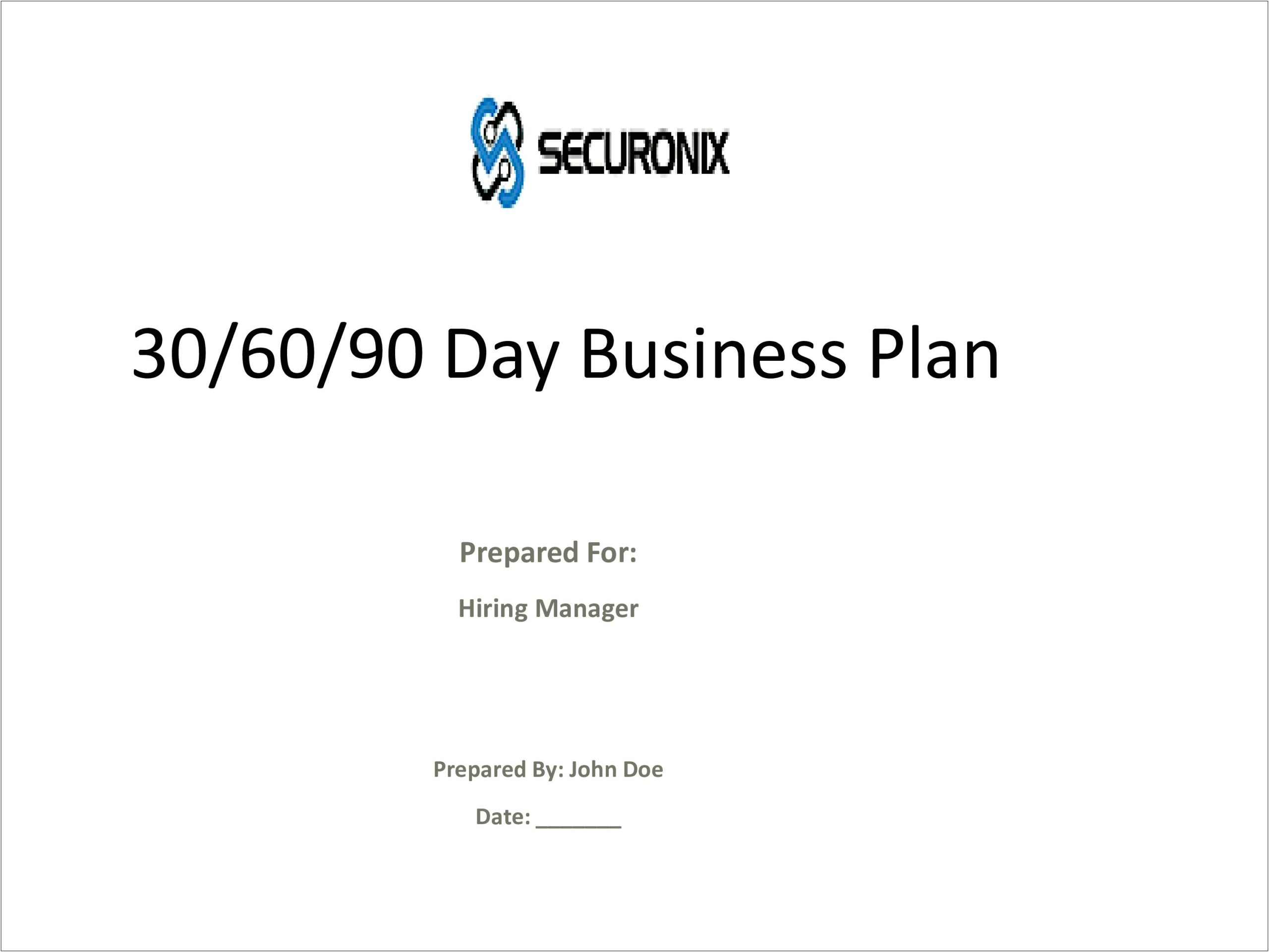 90 Day Business Plan Template For Sales