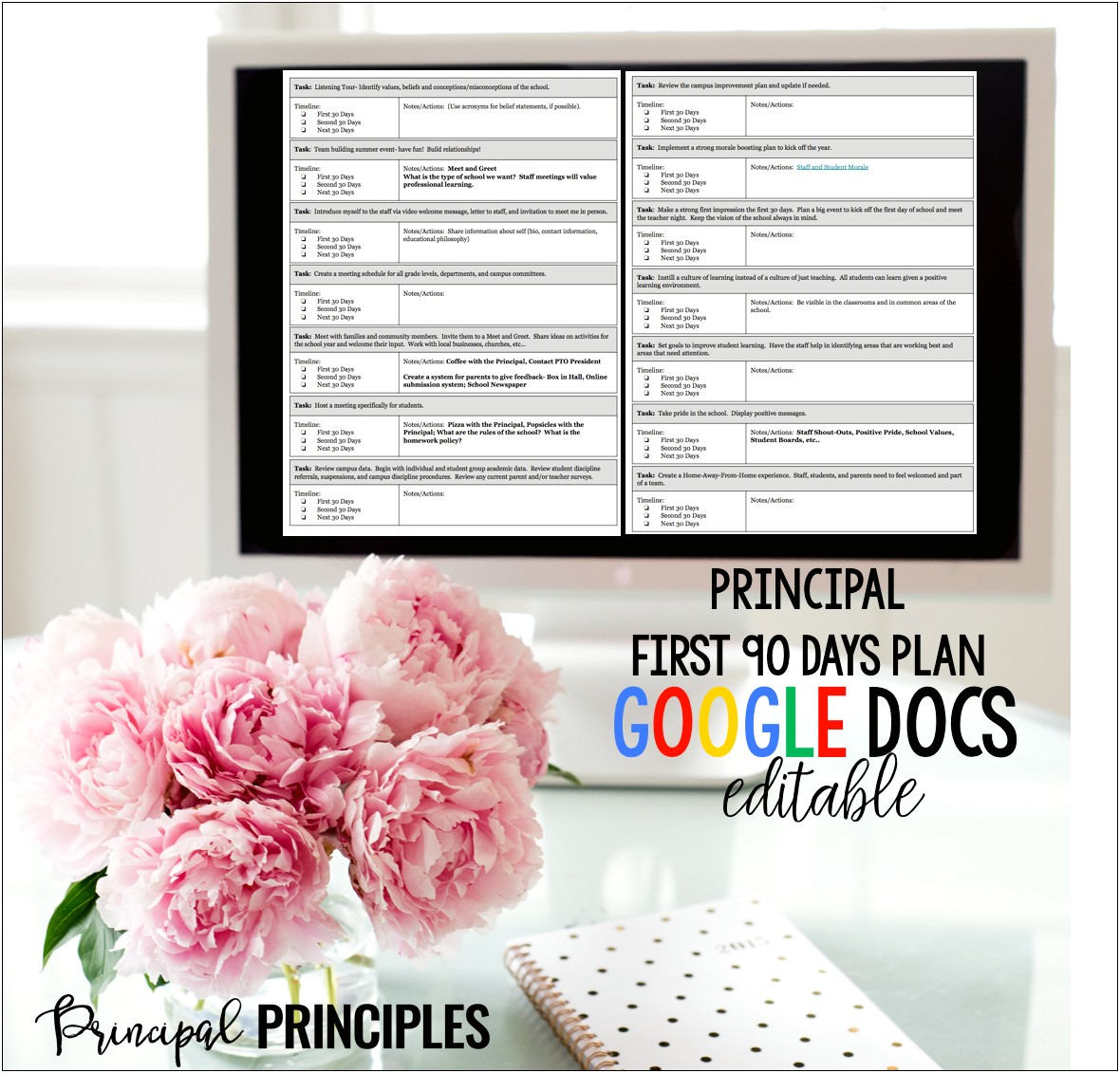 90 Day Entry Plan Principal Template Chicago