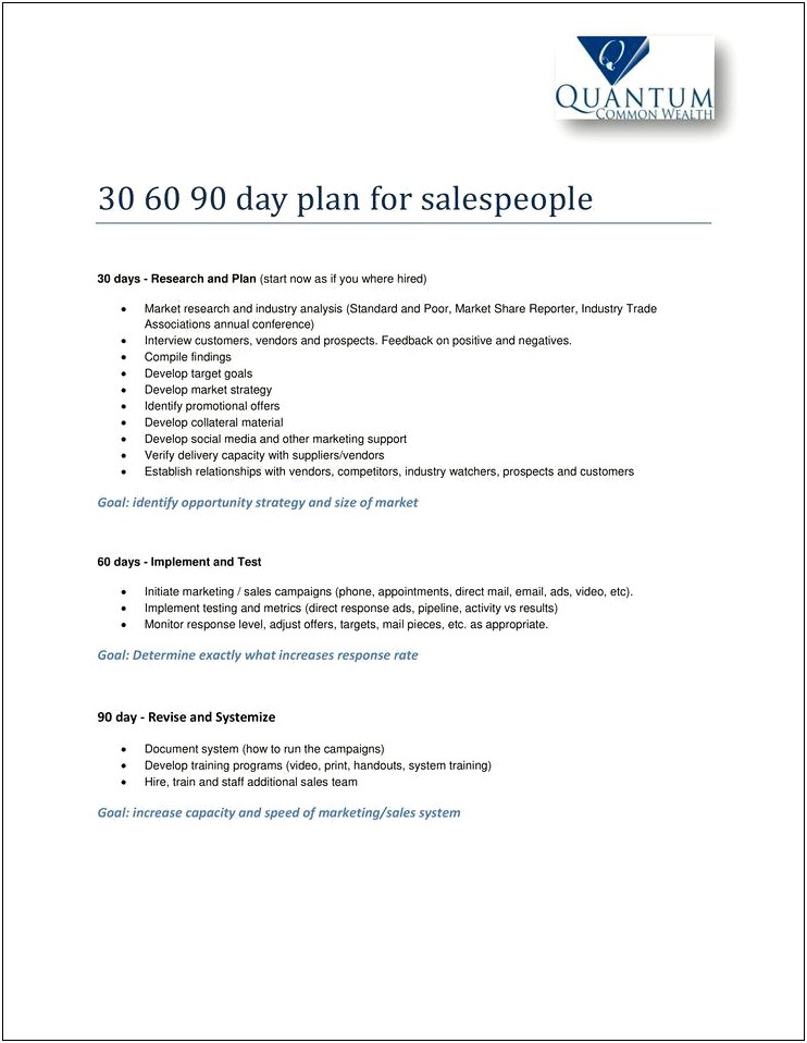 90 Day Sales Action Plan Template