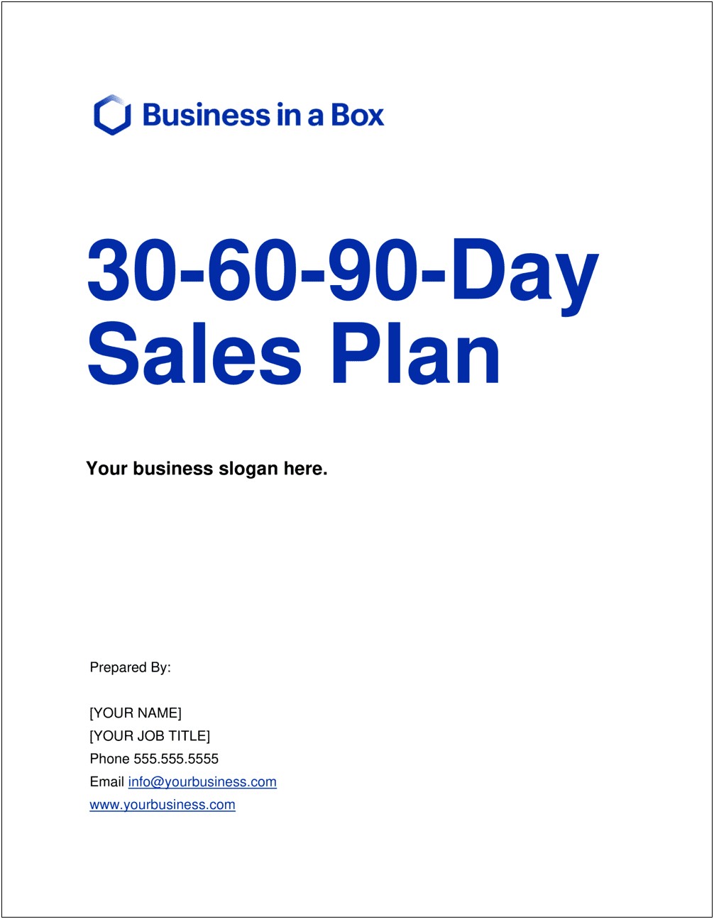 90 Day Sales Plan Template Examples