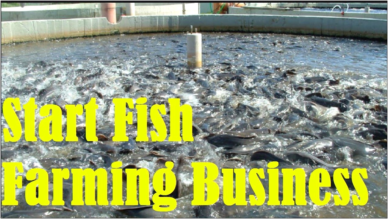 A Sample Fish Farming Business Plan Template