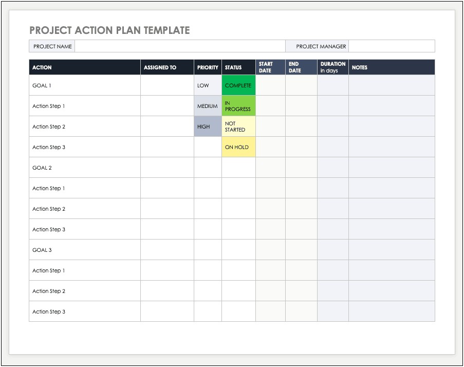 Action Plan For Project Management Template