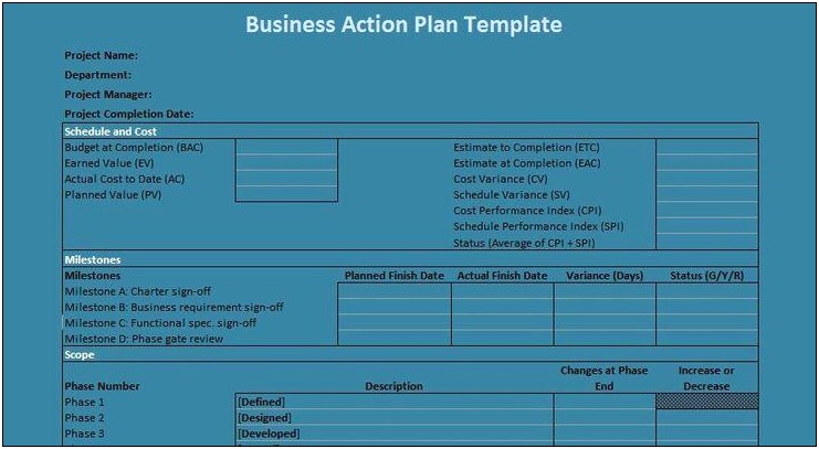 Action Plan Template For A Business