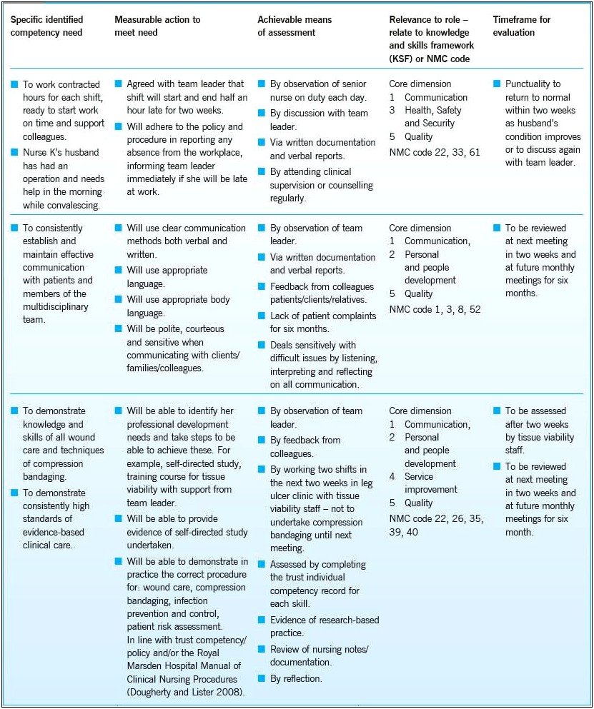 Action Plan Template For Nursing Students