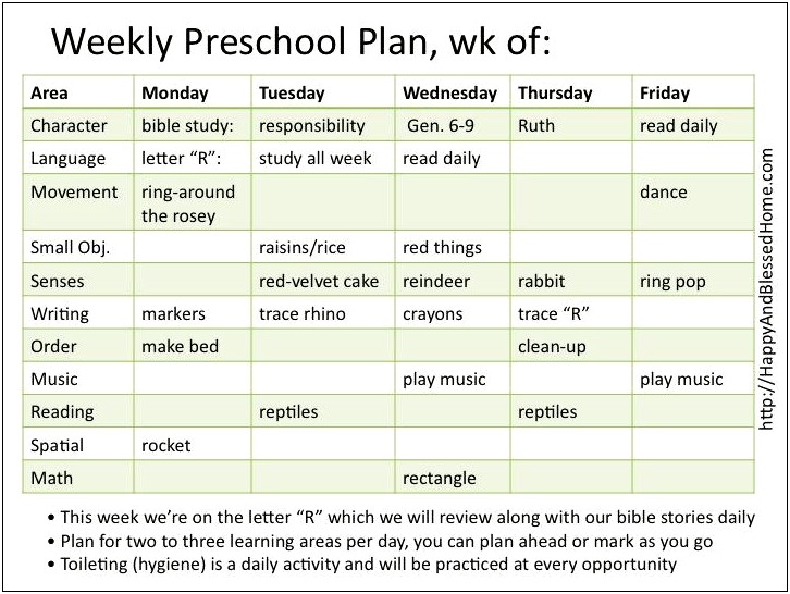 Activity Plan Template For Preschool Examples