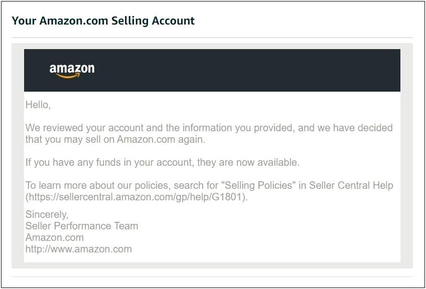 Amazon Appeal Plan Of Action Template