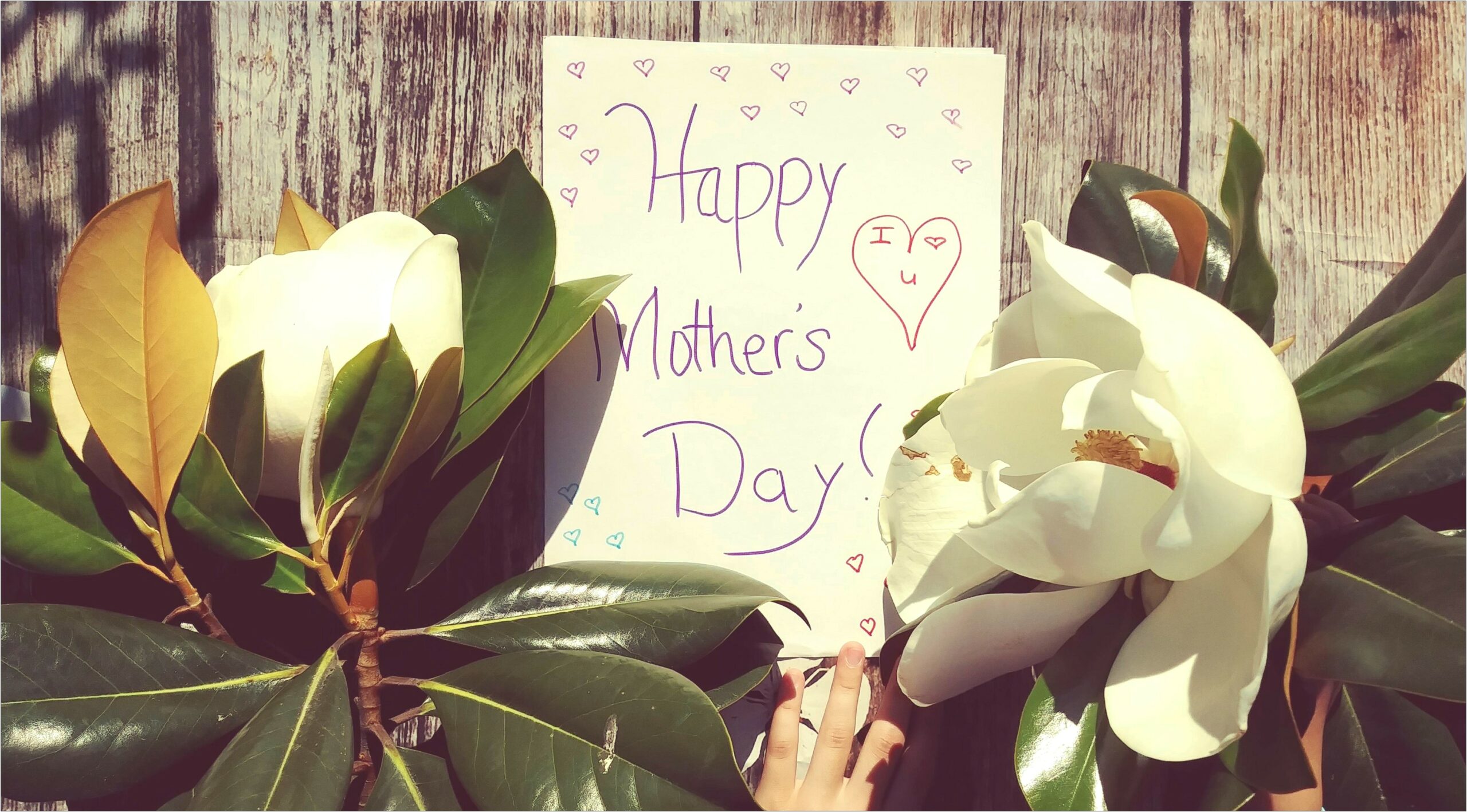 American Greeting Mother's Day Card Templates