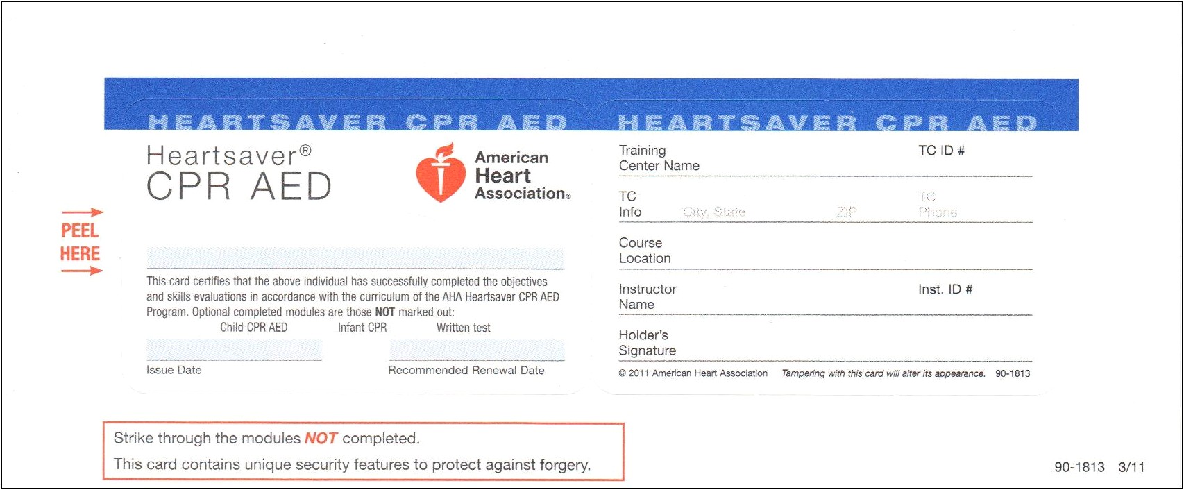 American Heart Association Healthcare Provider Card Template