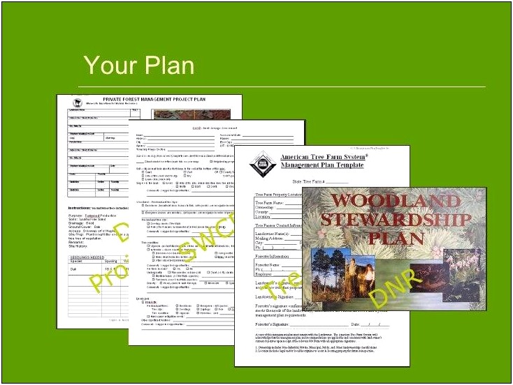 American Tree Farm System Management Plan Template