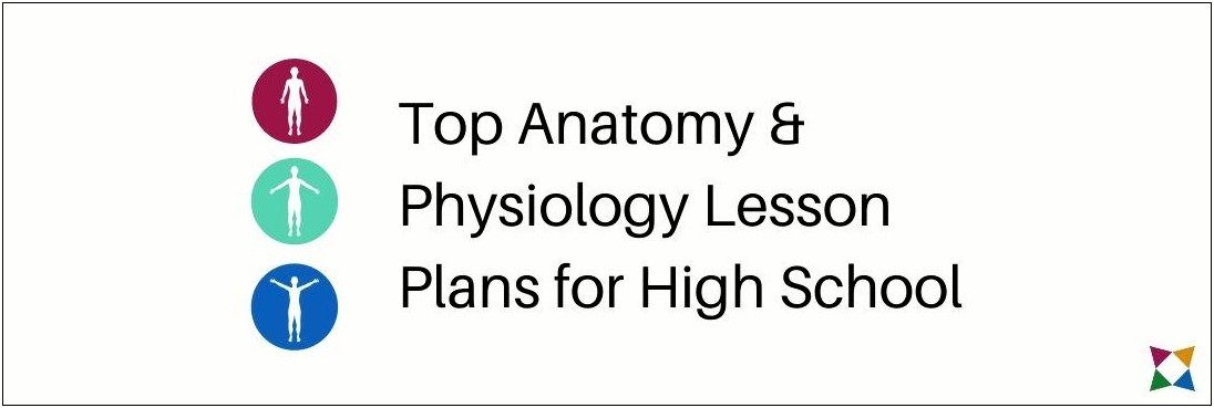 Anatomy And Physiology Lesson Plan Template