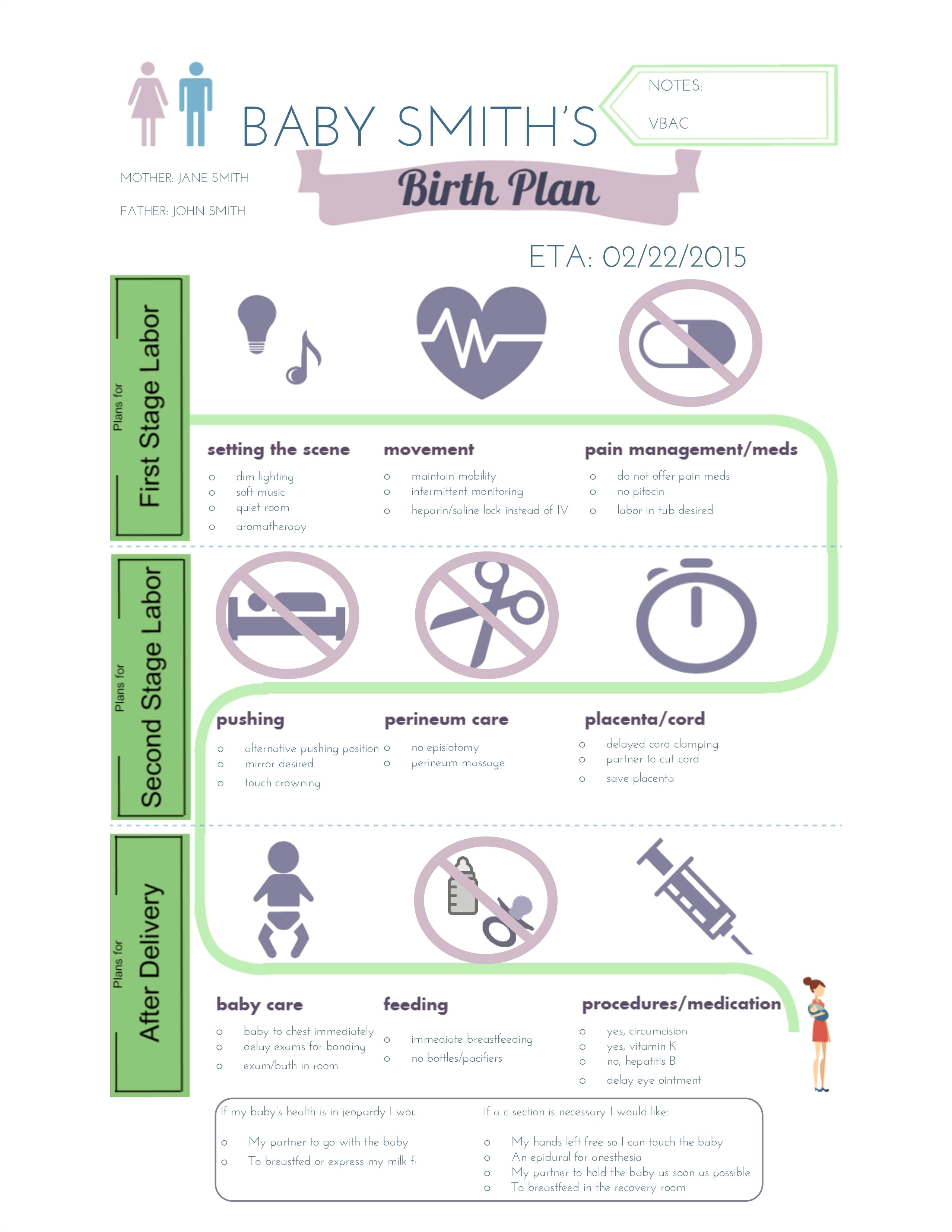 Baby Birth Plan For C Section Template