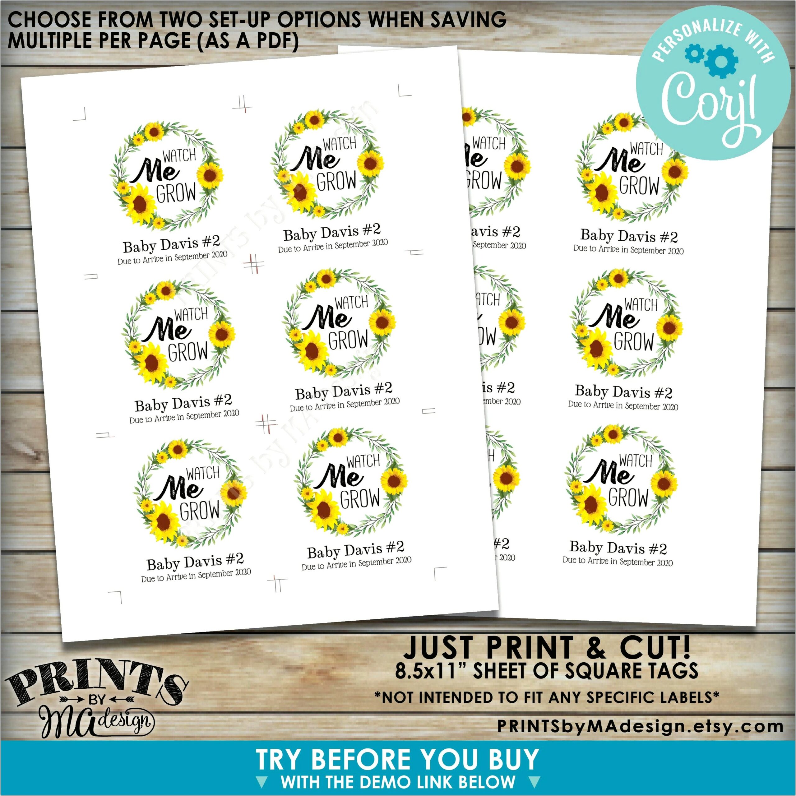 Baby Plan Watch Me Grow Template Brochure