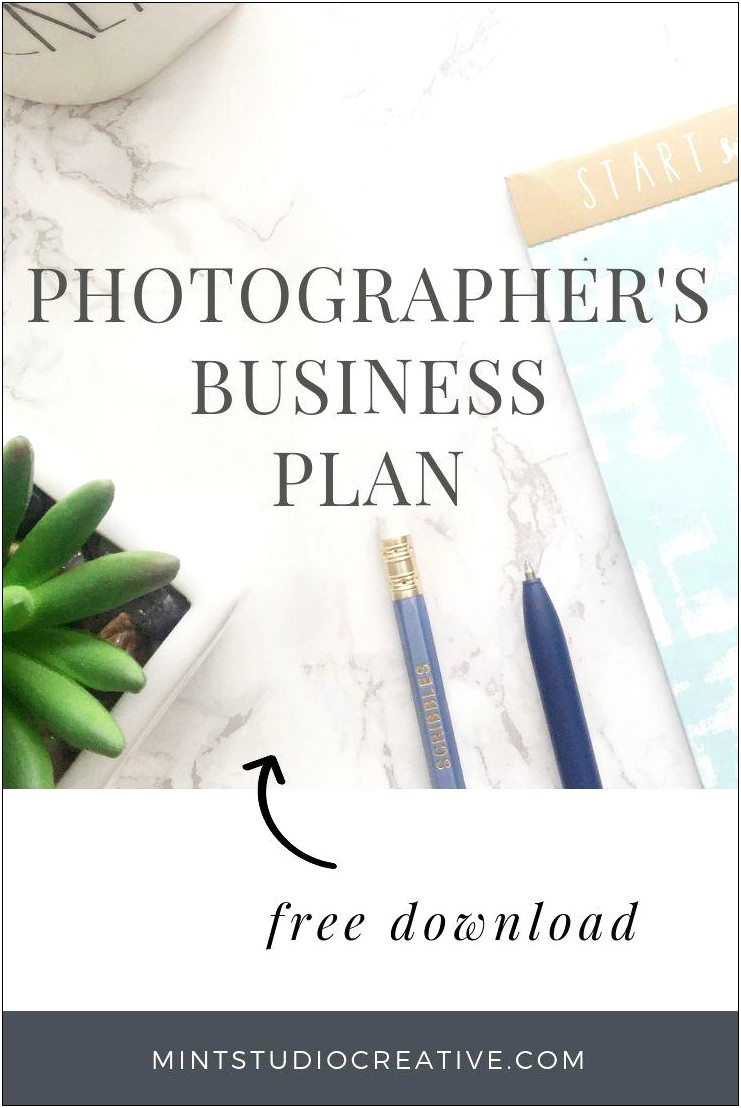 Basic Photography Business Plan Template Pdf