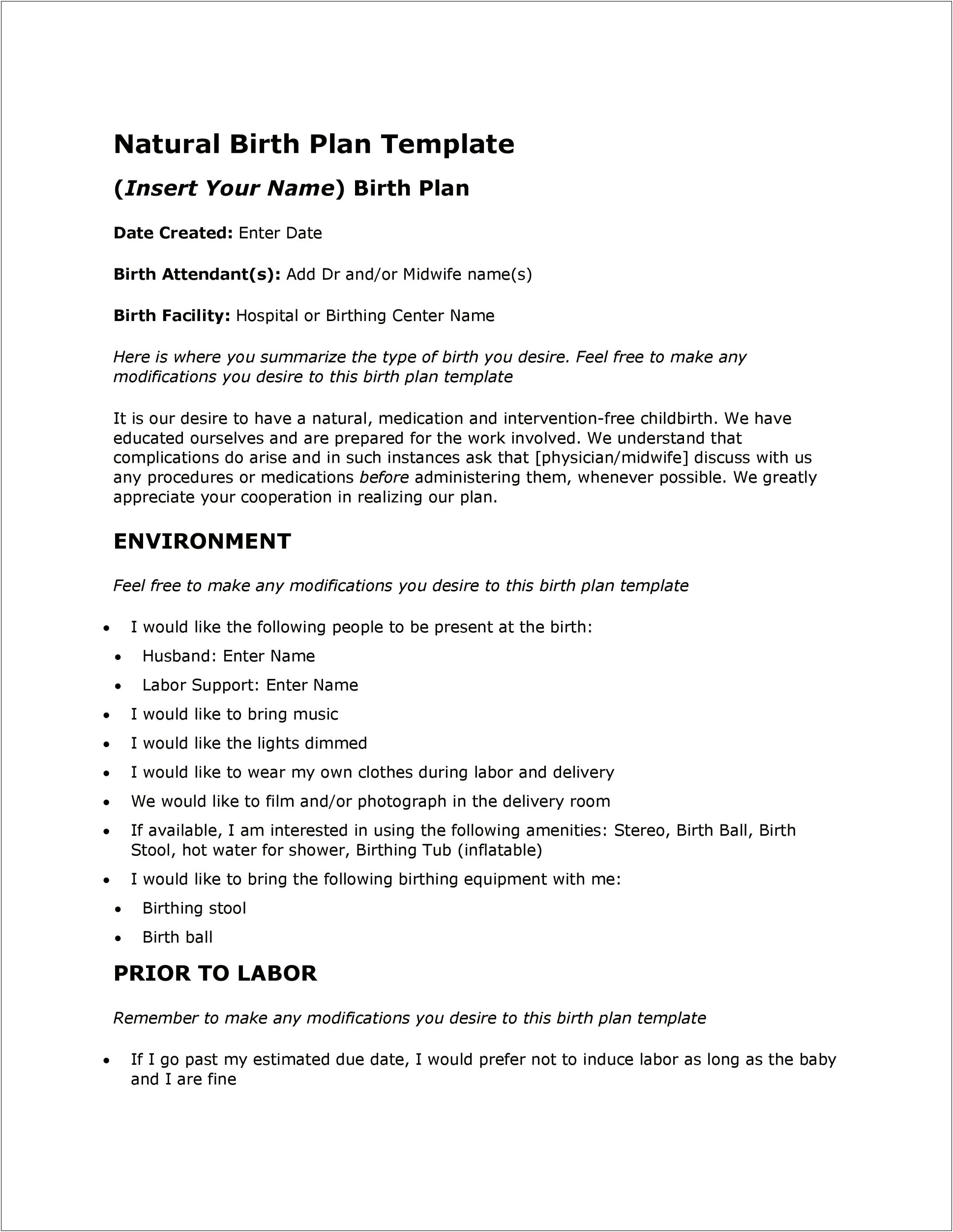 Birth Partner Birth Plan Cheat Sheet Template