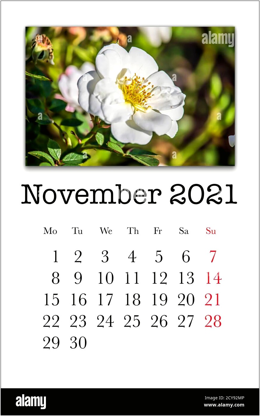 Blank November 2018 Calendar Template Cards