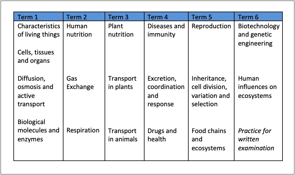 Block Lesson Plan Template High School