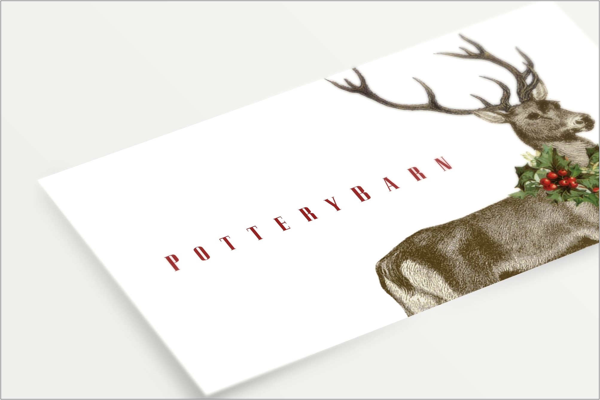 Business Card Template With Elk And Deer Antlers