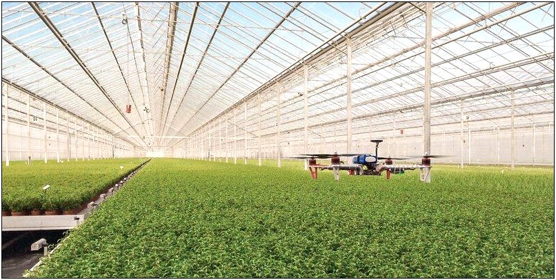 Business Plan Template For Greenhouse Farming