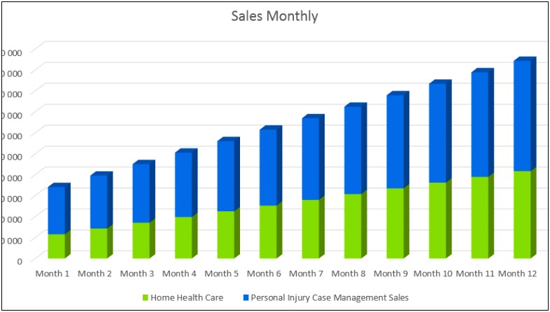 Business Plan Template For Home Health Agency