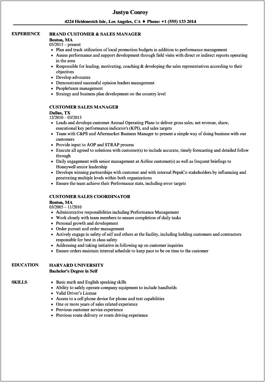 Business Plan Template For Regional Sales Manager