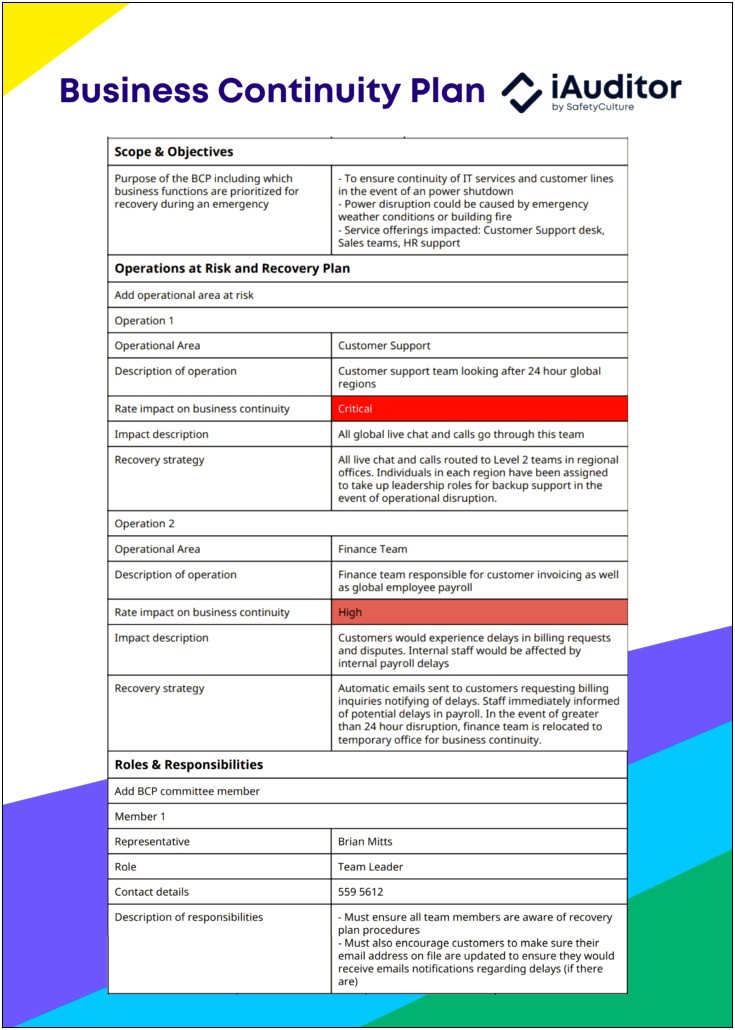 Business Plan Template For Security System Company