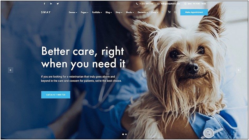 Business Plan Template For Veterinary Clinic