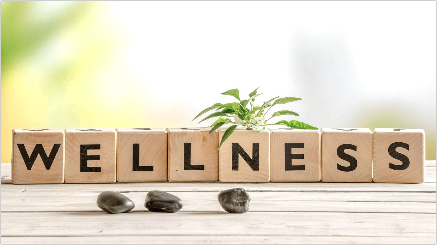 Business Plan Template For Wellness Business