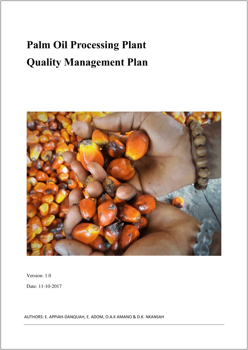 Business Plan Template On Palm Oil Processing Mill