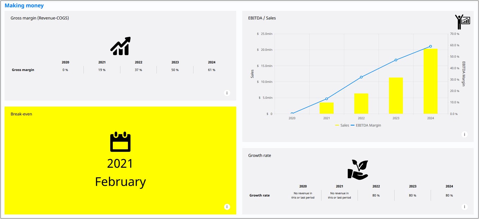 Business Plan To Raise Capital Template