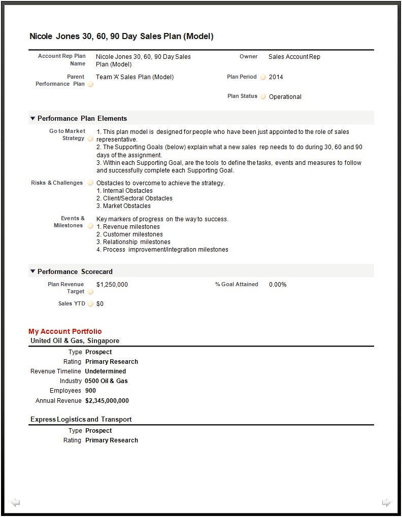 Business Plans For Sales Managers Templates