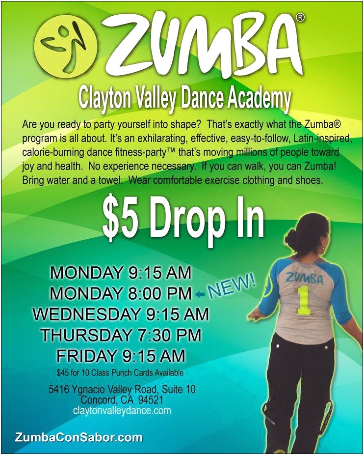 Business Plans Template For Zumba Dance