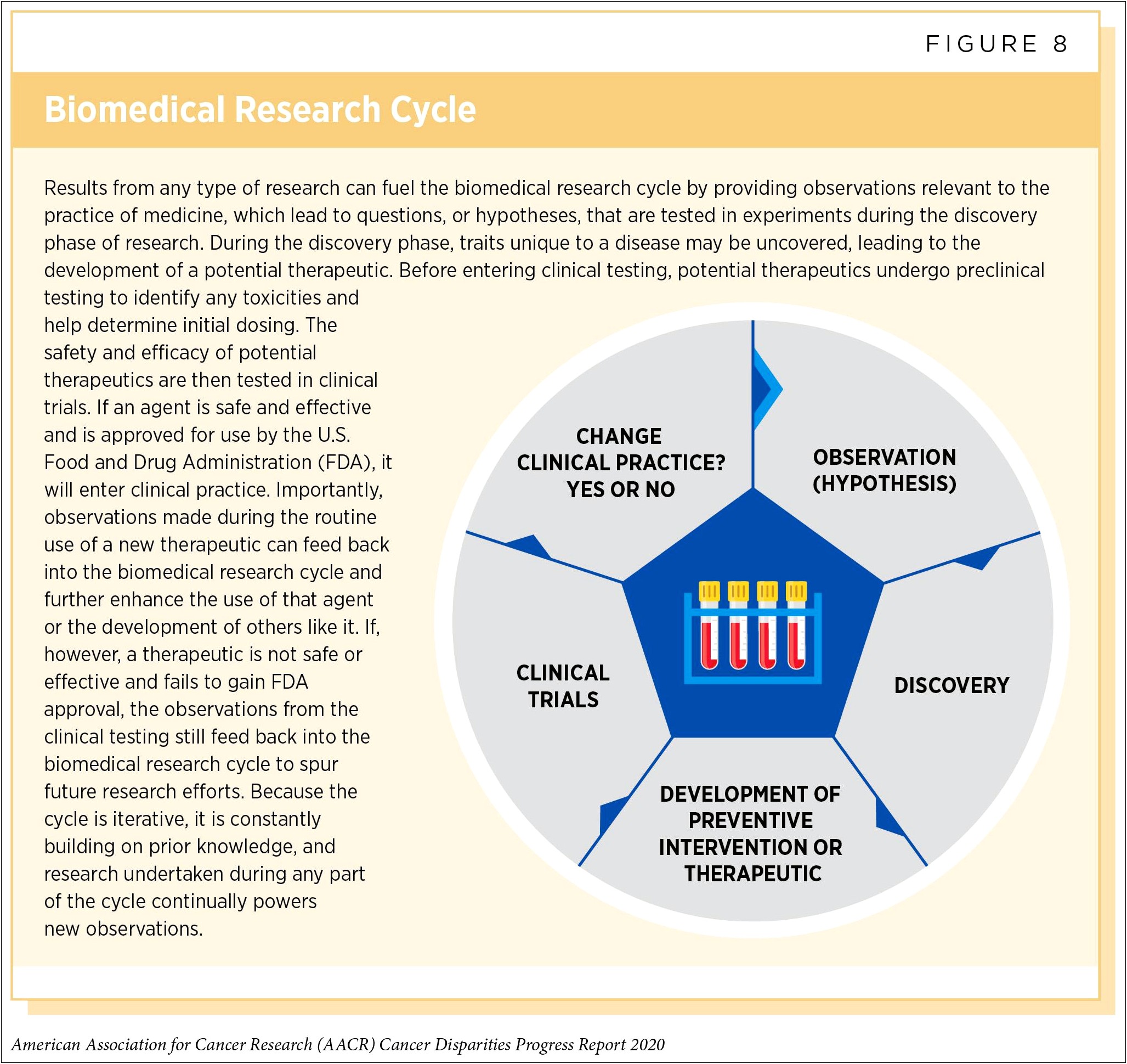 Cancer Treatment Plan And Summary Templates Pdf