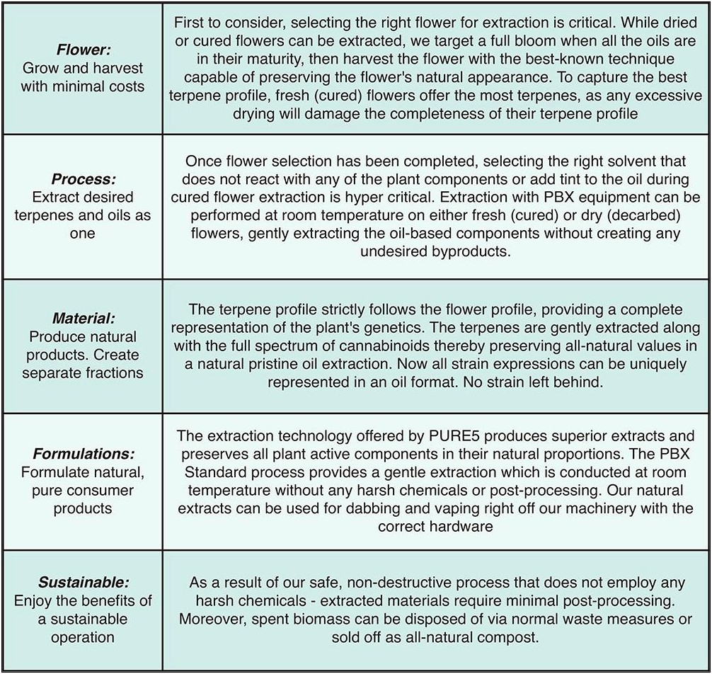 Cannabis Extraction Concentrates Business Plan Template