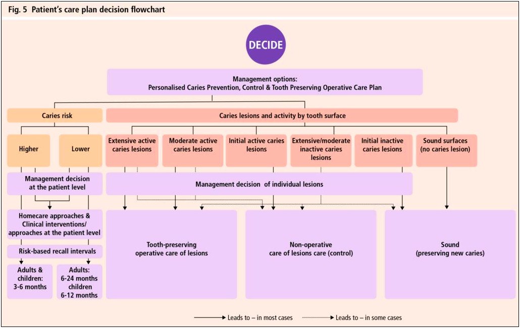 Care Management Plan Template Dental Hygiene