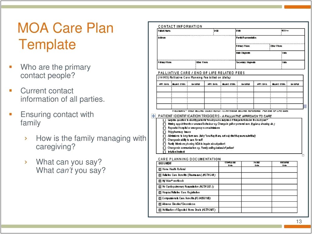 Care Plan Template For Domiciliary Care