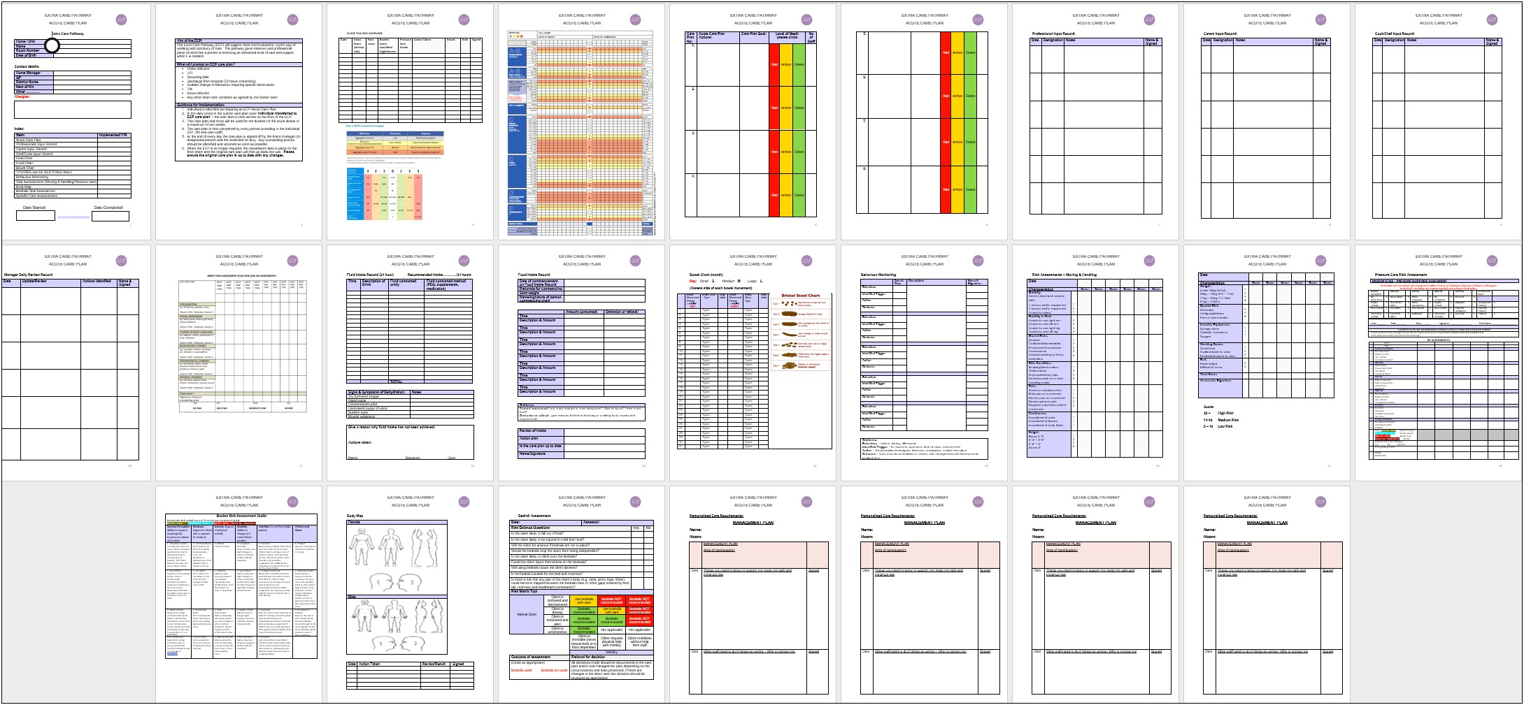 Care Plan Templates For Long Term Care